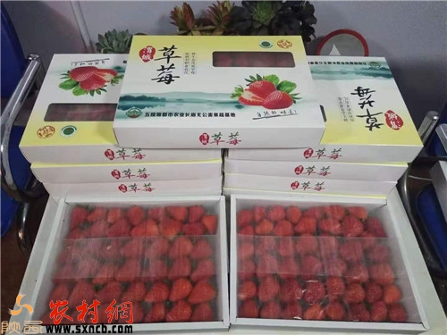 微信图片_20191225154830.jpg