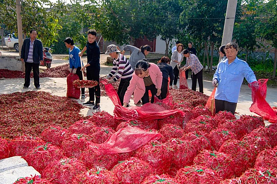 微信图片_20191021113403.jpg