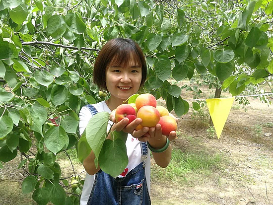 微信图片_20191008143050.jpg