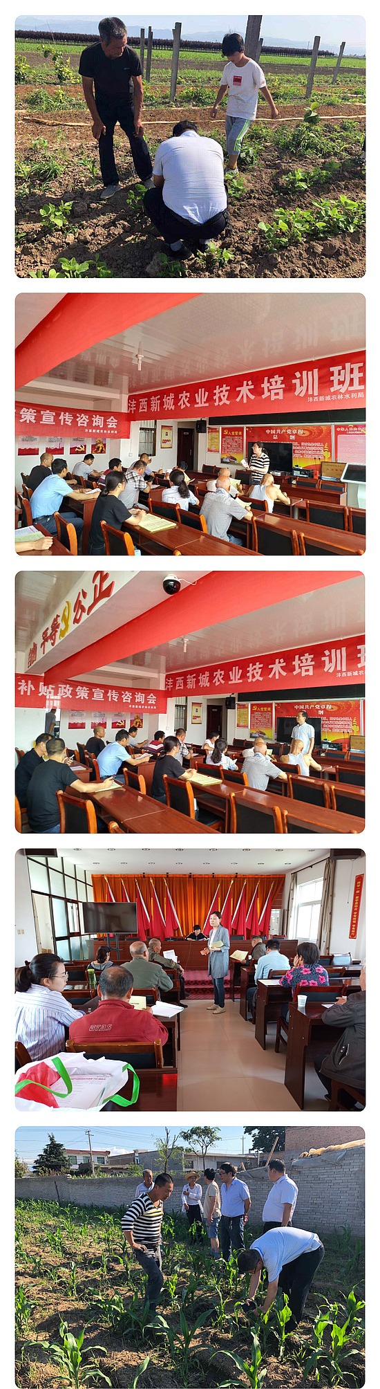 微信图片_20190826161719.jpg 微信图片_20190826161719.jpg