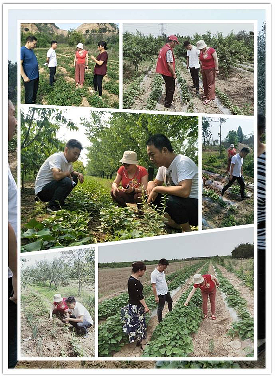 微信图片_20190628101540.jpg 微信图片_20190628101540.jpg