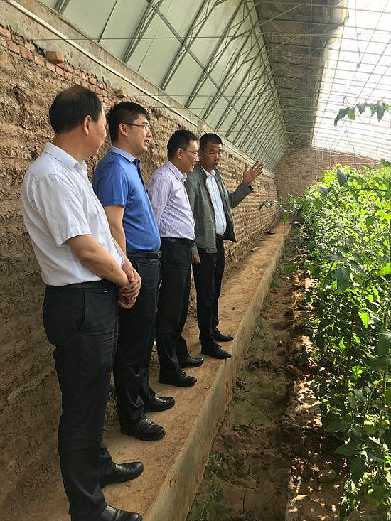 微信图片_20190603163443.jpg