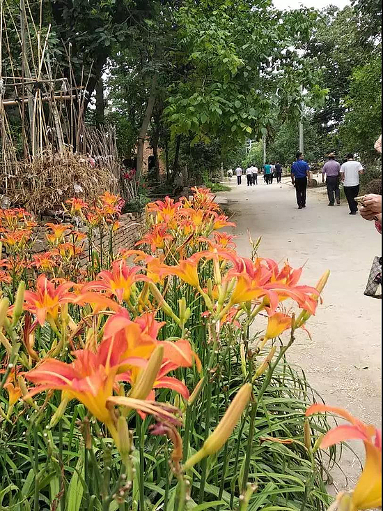 微信图片_20190702175914.jpg