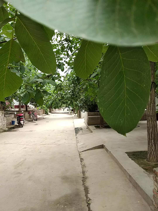 微信图片_20190702175908.jpg