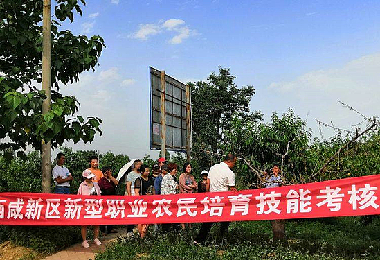 微信图片_20190702165349.jpg
