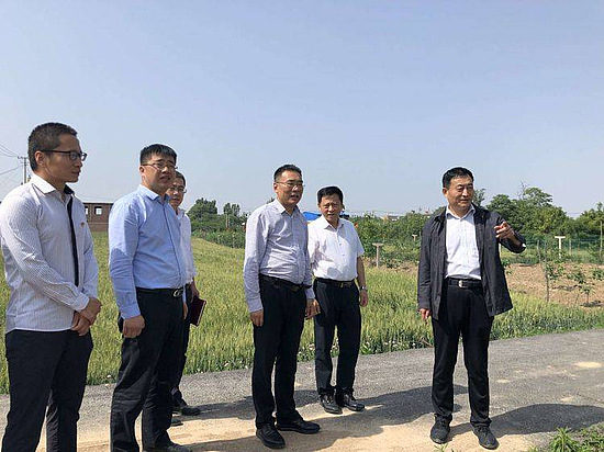 微信图片_20190531172640.jpg