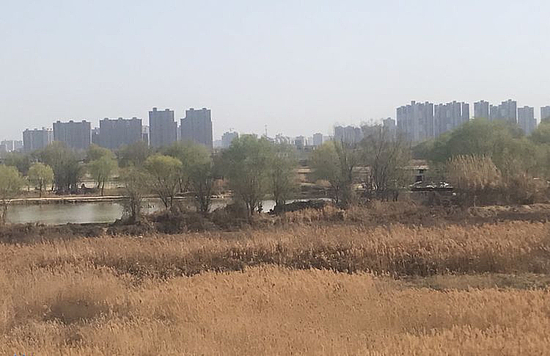 微信图片_20190329154837.jpg 微信图片_20190329154837.jpg