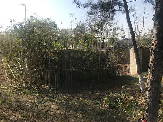 微信图片_20190329154812.jpg 微信图片_20190329154812.jpg