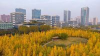 西咸新区这些看落叶好去处超美