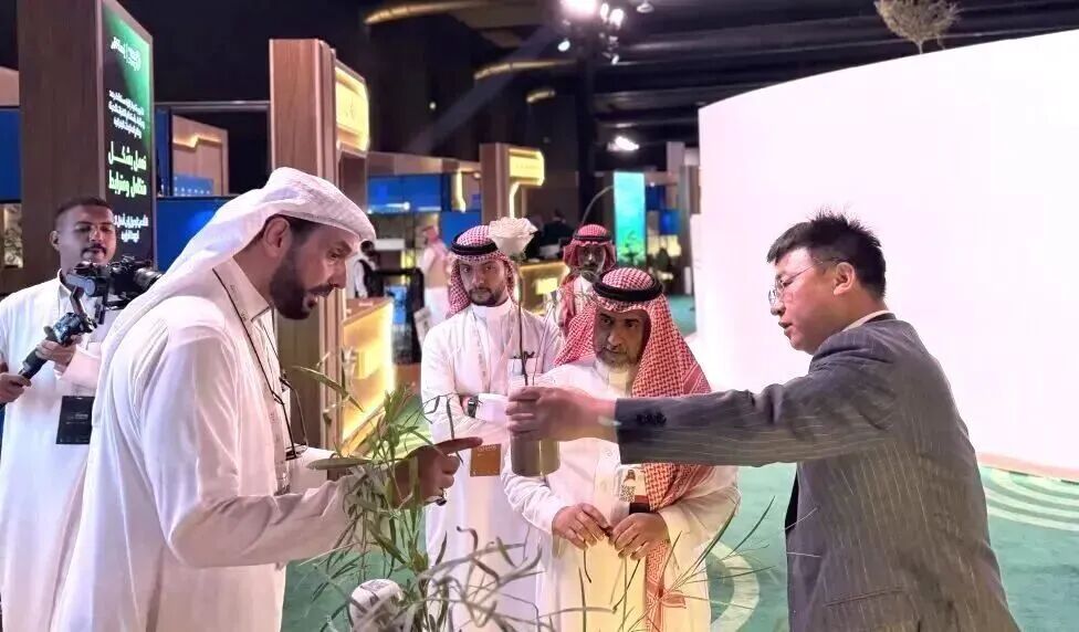 双捷报！湄南高科再迎新突破