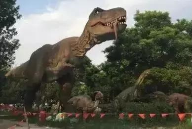微信图片_20190506145844.jpg