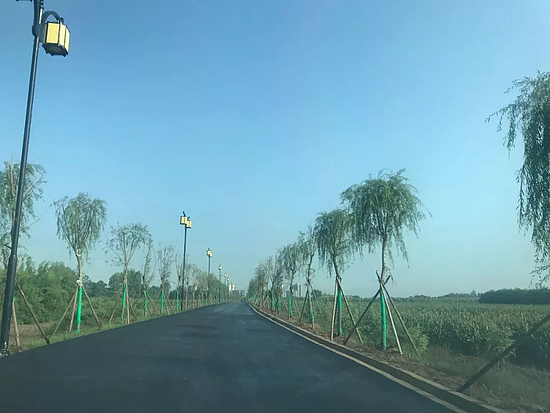 微信图片_20191114101758.jpg 微信图片_20191114101758.jpg