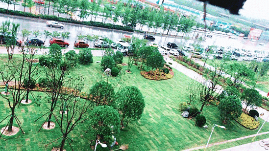 6.gif