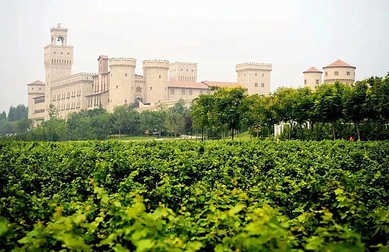 微信图片_20191219101814.jpg 微信图片_20191219101814.jpg