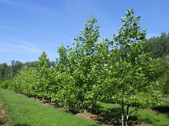 微信图片_20191210094136.jpg 微信图片_20191210094136.jpg