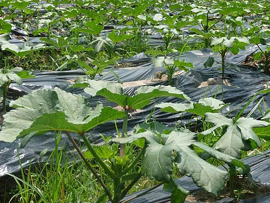 微信图片_20191128164618.jpg 微信图片_20191128164618.jpg