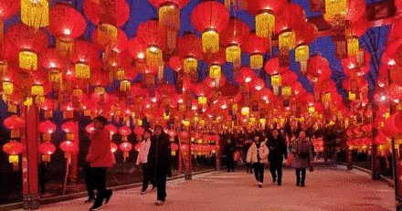 1212.gif