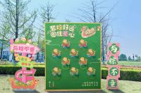 【网络中国节•端午】西咸新区端午节活动即将来袭