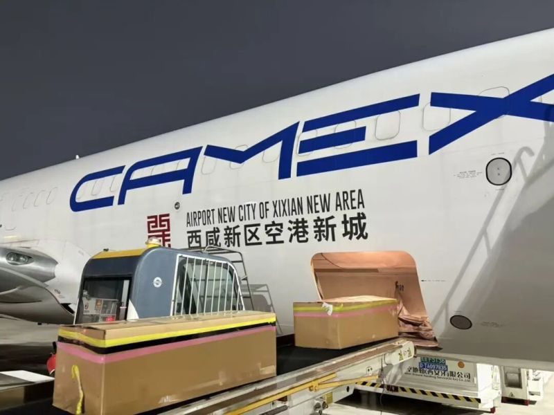 微信图片_20251219103802_17486_6.png