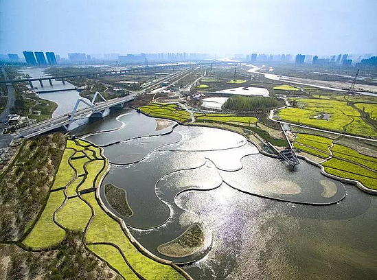 微信图片_20190722224407.jpg