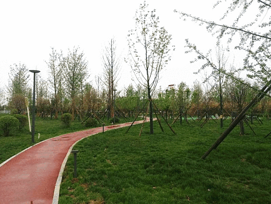 微信图片_20190307164600.gif