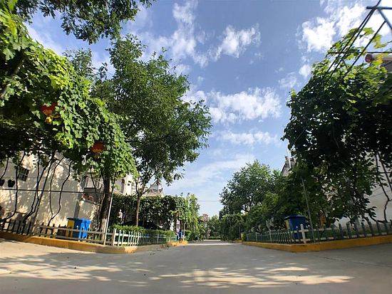 微信图片_20190731184614.jpg