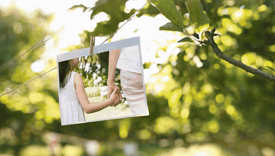 1.gif 1.gif