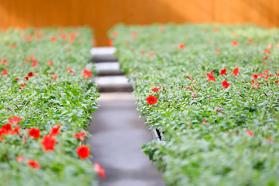 微信图片_20190626102305.jpg 微信图片_20190626102305.jpg