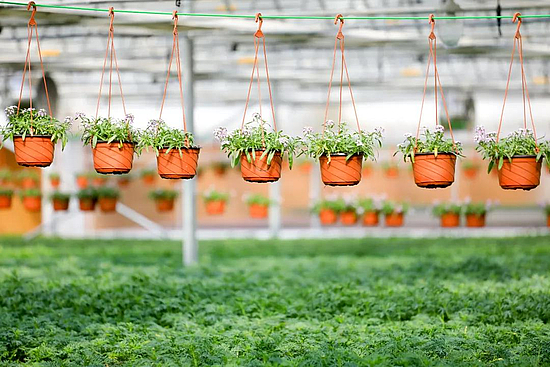 微信图片_20190626102317.jpg 微信图片_20190626102317.jpg