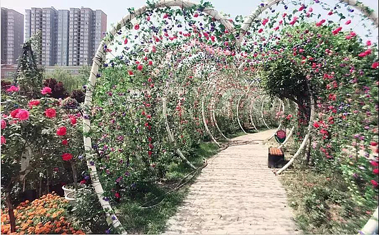 微信图片_20190626102340.jpg 微信图片_20190626102340.jpg