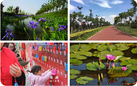 1557125822(1).jpg 1557125822(1).jpg