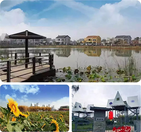 1556771385(1).jpg 1556771385(1).jpg