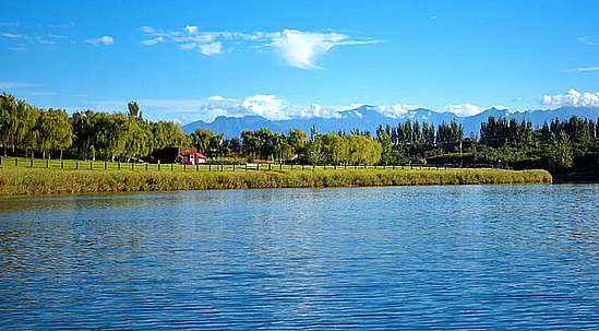 20201224_094547_030.jpg 20201224_094547_030.jpg