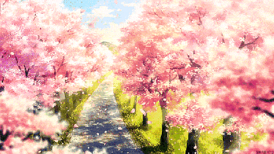 640.gif