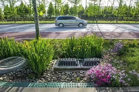 640.webp (1).jpg 640.webp (1).jpg