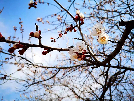 微信图片_20190318104335.jpg 微信图片_20190318104335.jpg