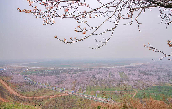 微信图片_20190318104438.jpg 微信图片_20190318104438.jpg