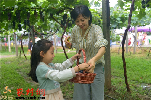 游客带着孩子体验采摘的乐趣