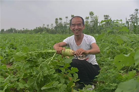 a6fb4508fc84465cbc50bd774c76cbda.webp.jpg a6fb4508fc84465cbc50bd774c76cbda.webp.jpg