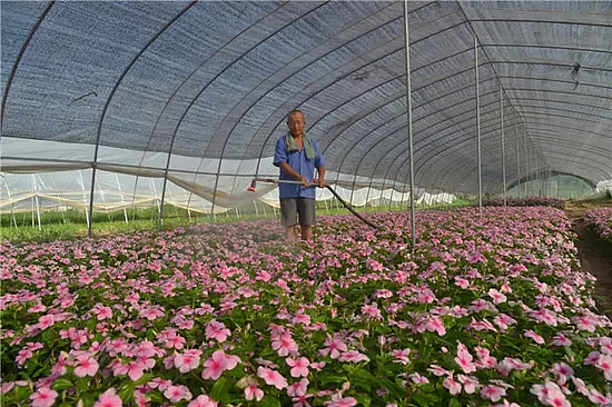 e2fd41dfba624eb5b024c1cc7703c64a.webp.jpg e2fd41dfba624eb5b024c1cc7703c64a.webp.jpg