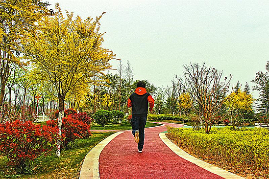 bf01db6962f7591d7a1927b496bb83e3_img_190_1056_229_154.jpg bf01db6962f7591d7a1927b496bb83e3_img_190_1056_229_154.jpg