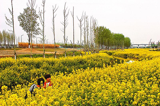 bf01db6962f7591d7a1927b496bb83e3_img_316_1106_259_173.jpg bf01db6962f7591d7a1927b496bb83e3_img_316_1106_259_173.jpg