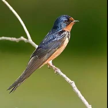 微信图片_20190418102713.jpg 微信图片_20190418102713.jpg