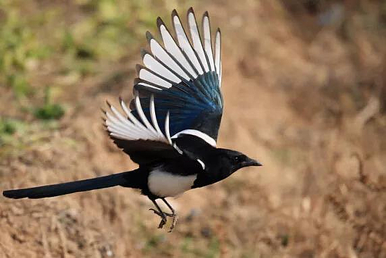 微信图片_20190418102754.jpg 微信图片_20190418102754.jpg