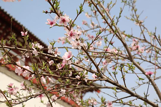 微信图片_20190418102937.jpg 微信图片_20190418102937.jpg