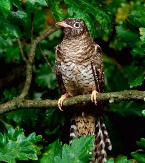 微信图片_20190418102738.jpg 微信图片_20190418102738.jpg