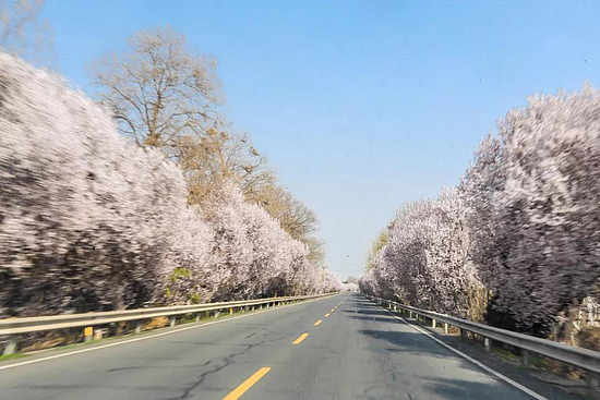 微信图片_20190415100602.jpg 微信图片_20190415100602.jpg