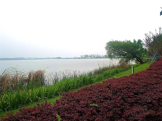 微信图片_20190415091920.jpg 微信图片_20190415091920.jpg