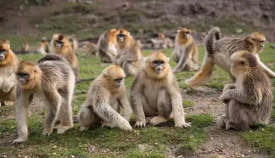 微信图片_20190409175506.jpg 微信图片_20190409175506.jpg