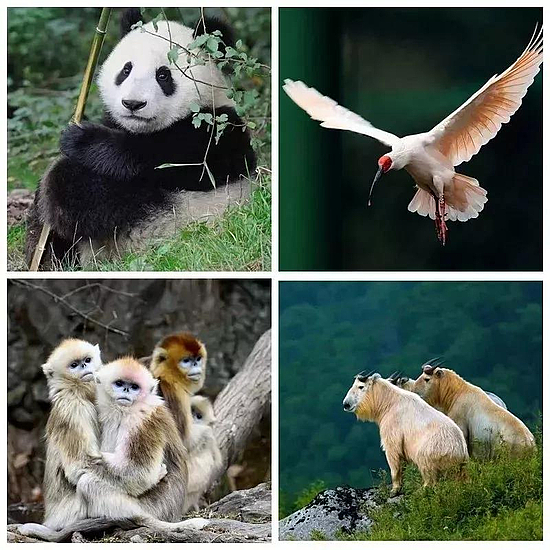 微信图片_20190409175645.jpg 微信图片_20190409175645.jpg